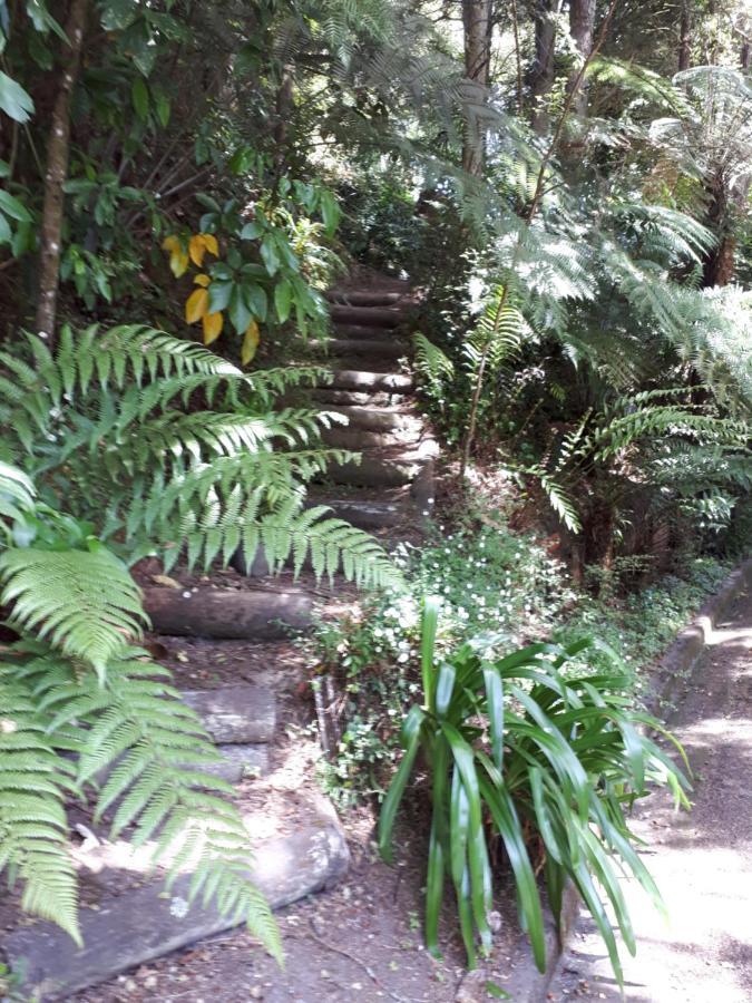 Rangaroa Heights Panzió Taumarunui Kültér fotó