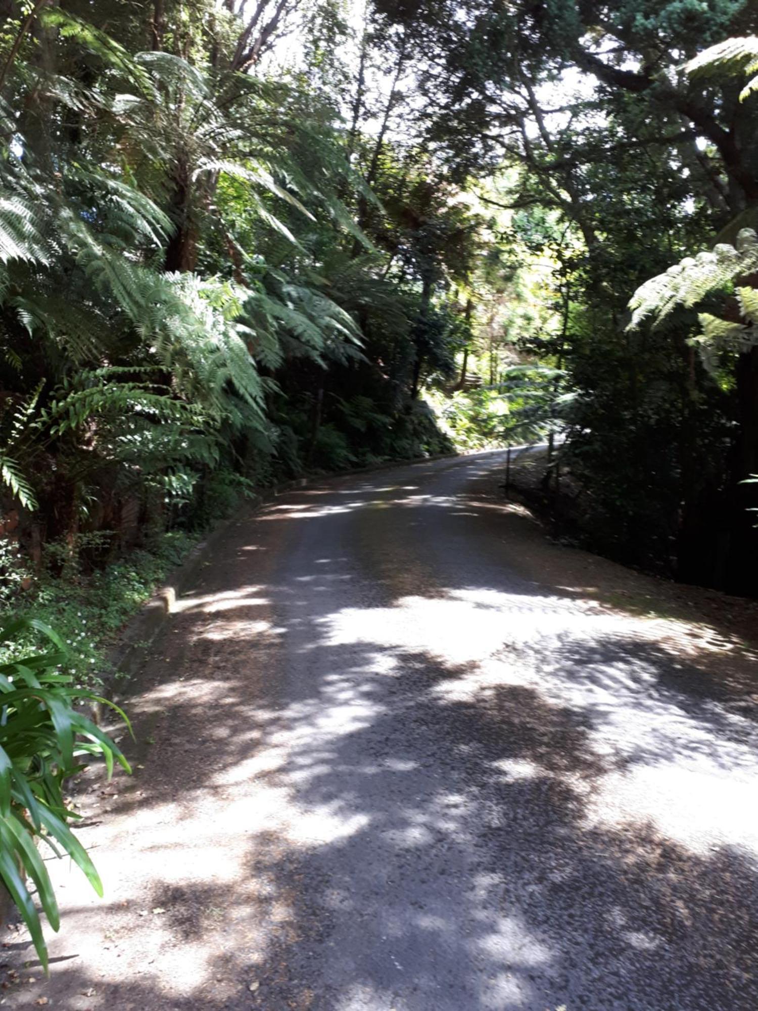 Rangaroa Heights Panzió Taumarunui Kültér fotó